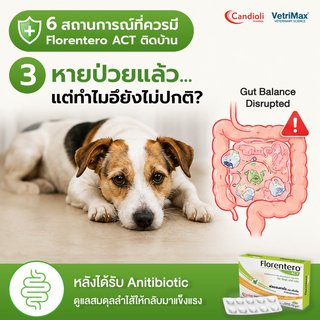 Florentero ACT 6 สถานการณ์_P 3.jpg